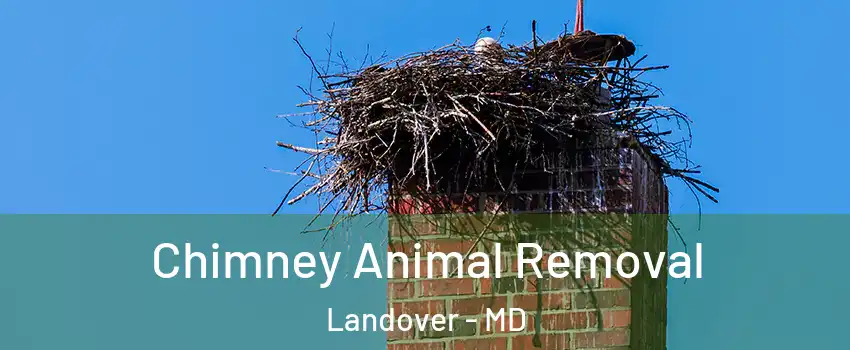 Chimney Animal Removal Landover - MD