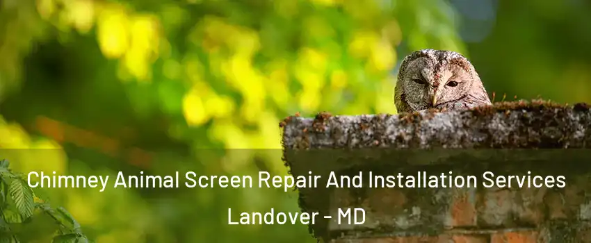 Chimney Animal Screen Repair And Installation Services Landover - MD