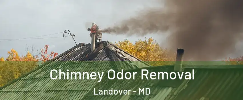  Chimney Odor Removal Landover - MD