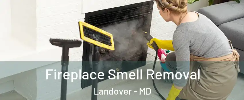 Fireplace Smell Removal Landover - MD