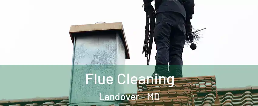  Flue Cleaning Landover - MD