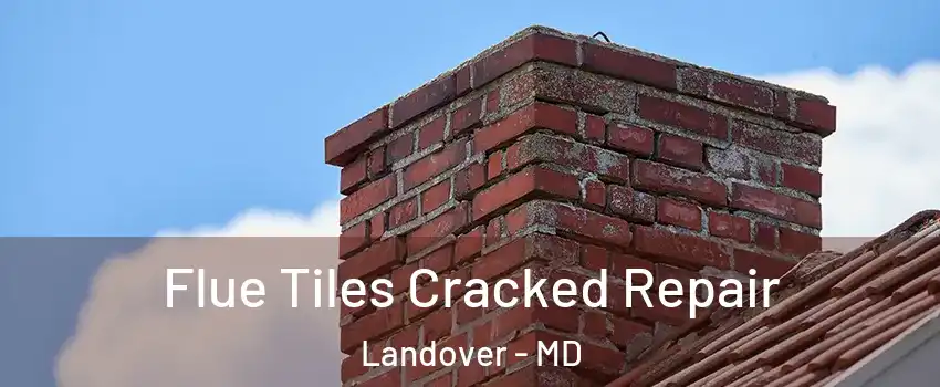  Flue Tiles Cracked Repair Landover - MD
