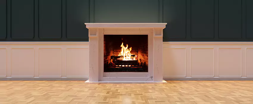 Napoleon Electric Fireplaces Inspection Service in Landover, Maryland