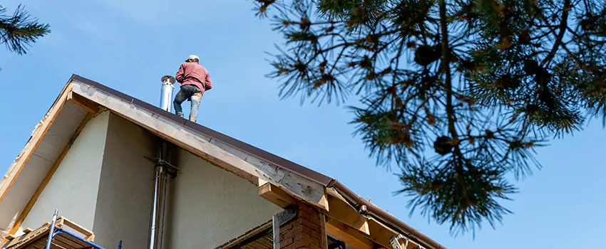 Birds Removal Contractors from Chimney in Landover, MD
