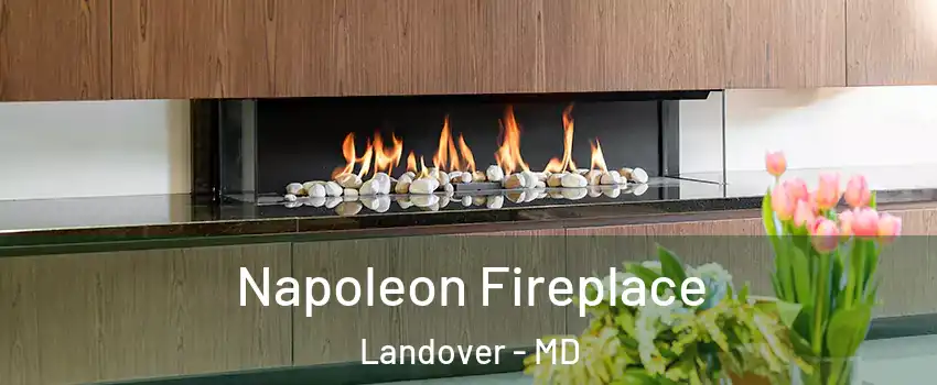  Napoleon Fireplace Landover - MD