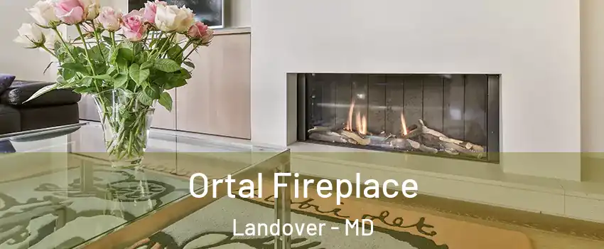  Ortal Fireplace Landover - MD